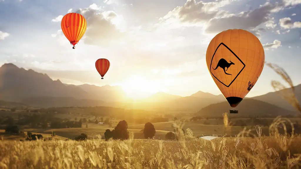 Hot Air Balloon & Vineyard Breakfast + FREE Whale Watch Cruise | Gold Coast
