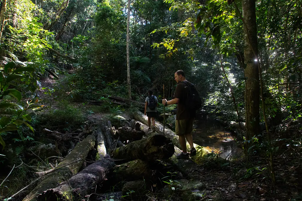 Full Day Cairns Hiking Experience