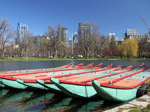 Boston Bike Tour Discount