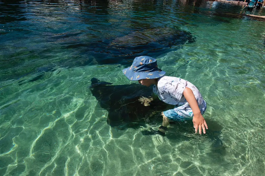 Irukandji Entry Pass with Shallows Encounter & Fish food