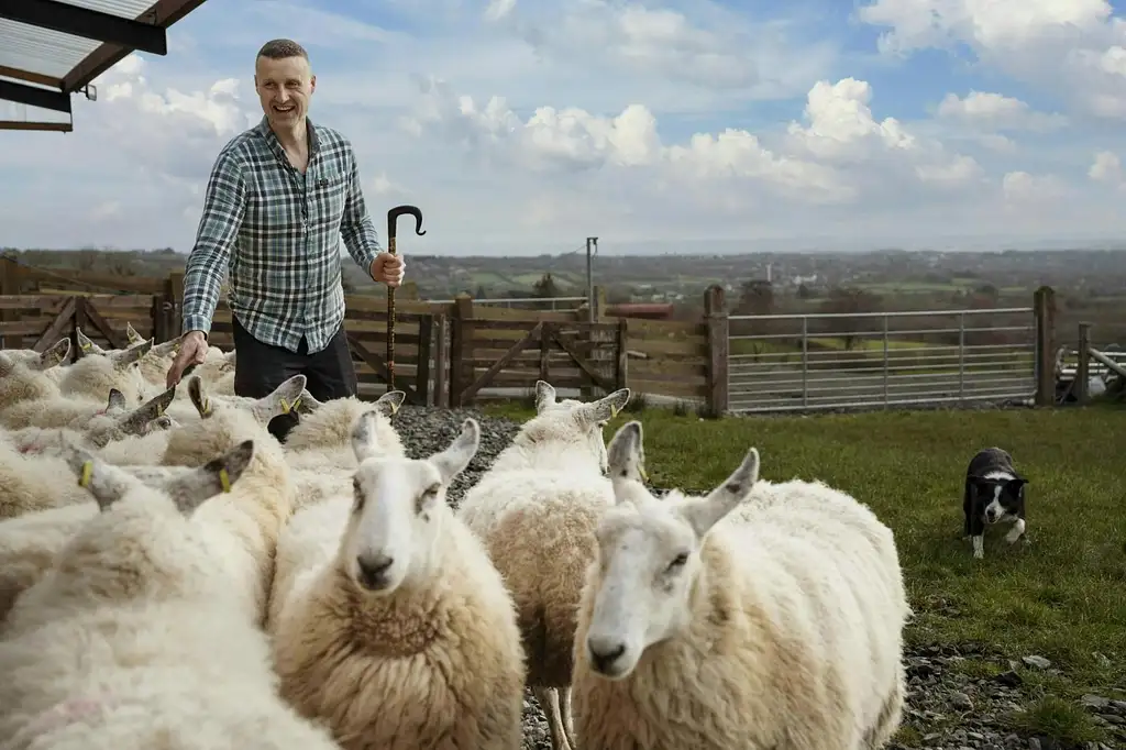 Wicklow And Glendalough Tour With Sheepdog Demonstration