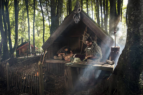 Tamaki Maori Village tours