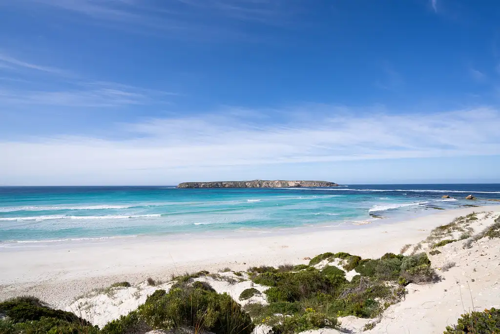 Coffin Bay Oyster Farm Day Tour