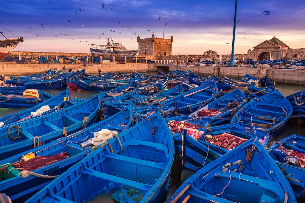 Visit Game Of Thrones Filming Locations In Essaouira From Marrakech