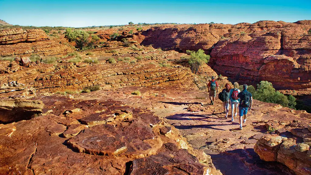 Kings Canyon & Outback Panoramas | Full Day Tour from Uluru (Y19)