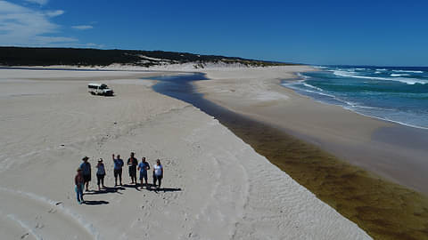 half day beach and forest tours pemberton