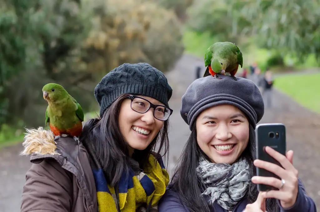 2 Day Great Ocean Road & Otway Discovery