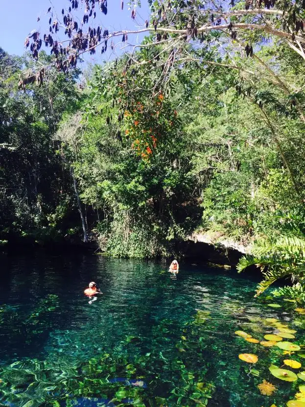 Tulum Jungle Adventure