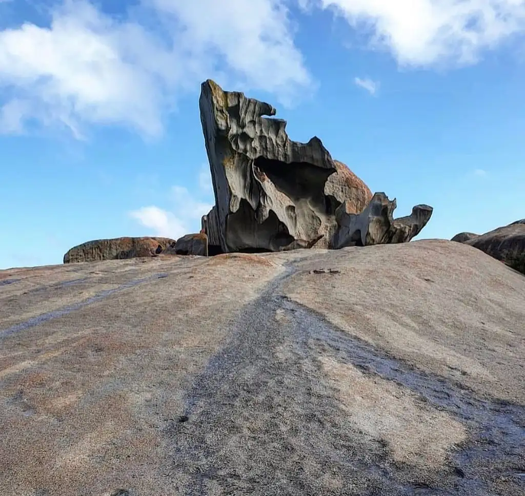 Scenic Nature & Wildlife Tour | From Kingscote