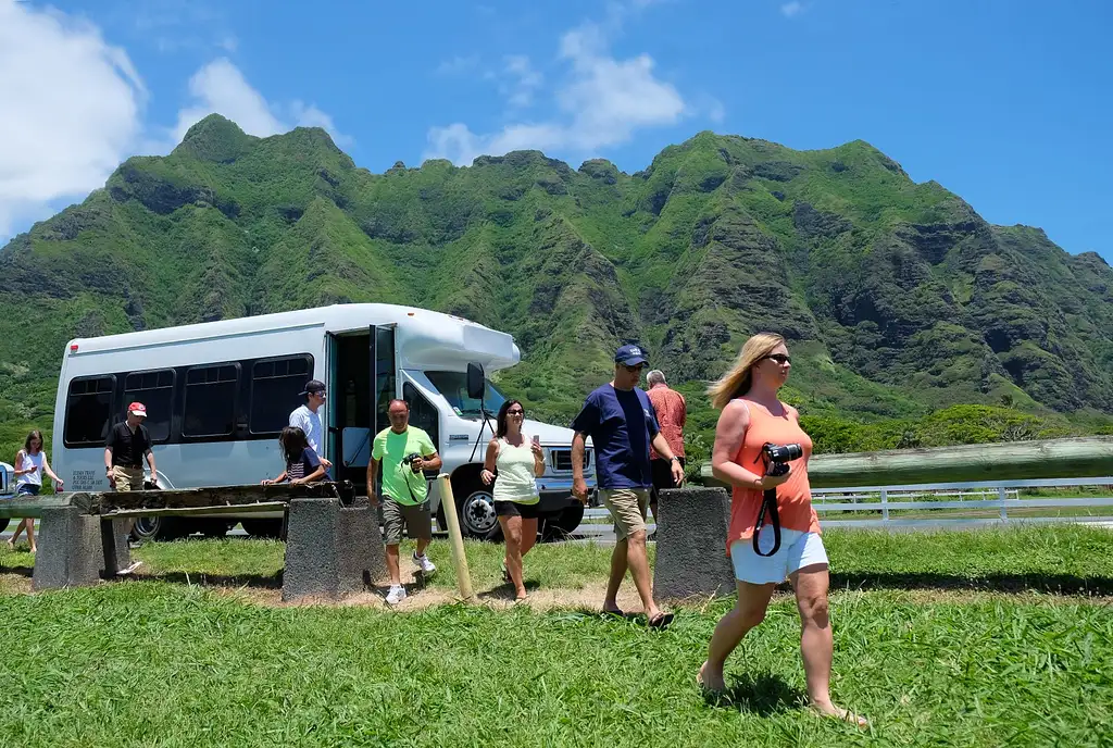 North Shore & Dole Pineapple Tour