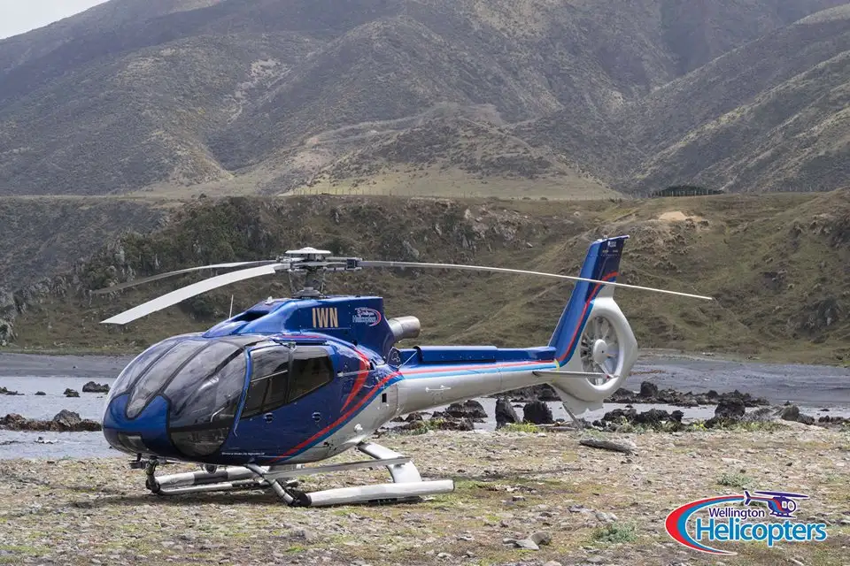 Helicopter Tour Over Wellington's South Coast