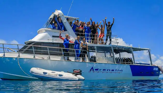 Museum of Underwater Art Day Tour - Snorkel Including Ferry