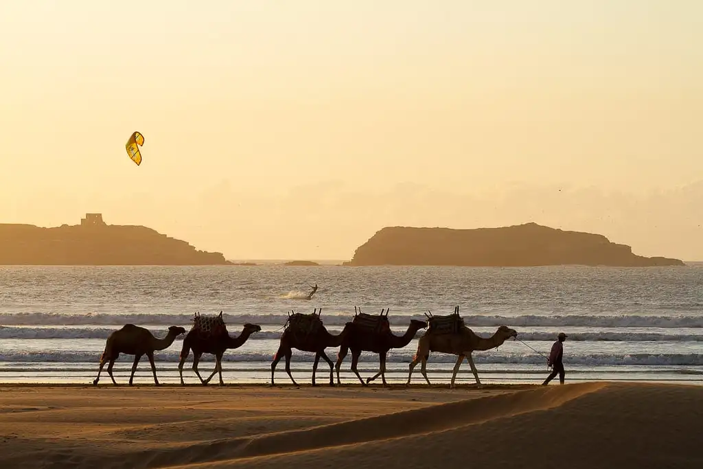 Visit Game Of Thrones Filming Locations In Essaouira From Marrakech