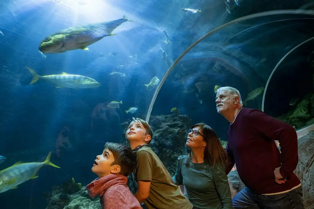 Madame Tussauds and Sea Life Berlin | Combo Ticket