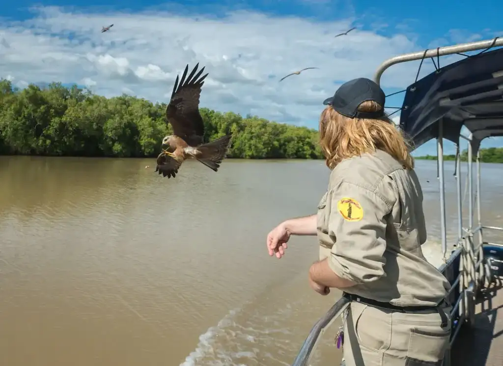 Jumping Crocodile Tour | From Darwin (BDTNT20DAY)