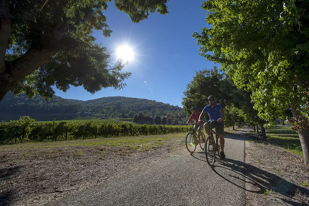 4 Day Cycle of the Murray to Mountains Rail Trail | Intrepid Tour