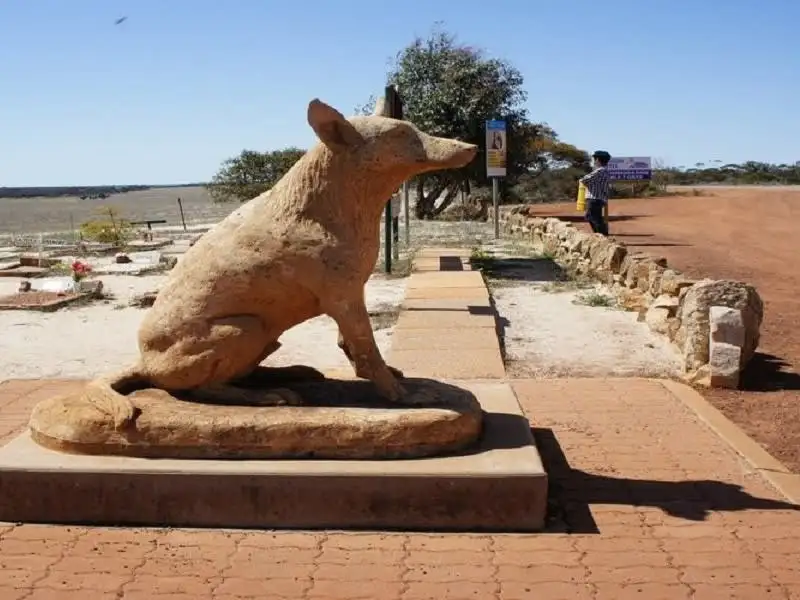 2 Days Wave Rock, York, Wildflowers & Aboriginal Culture Outback Experience