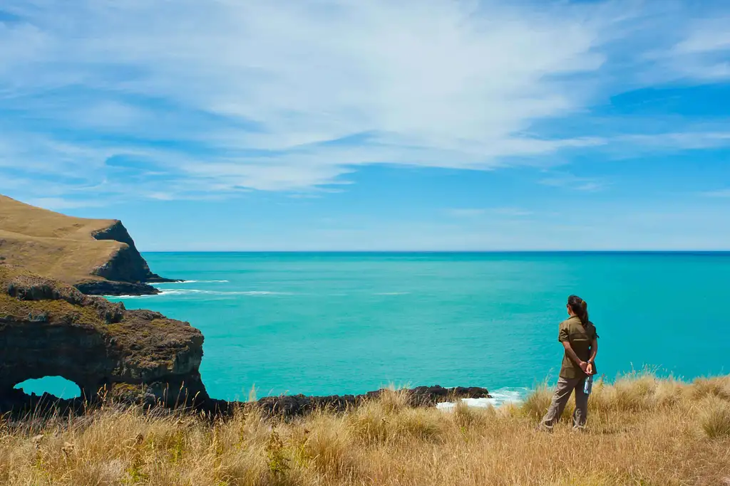Half-Day Scenic Nature Safari - Akaroa