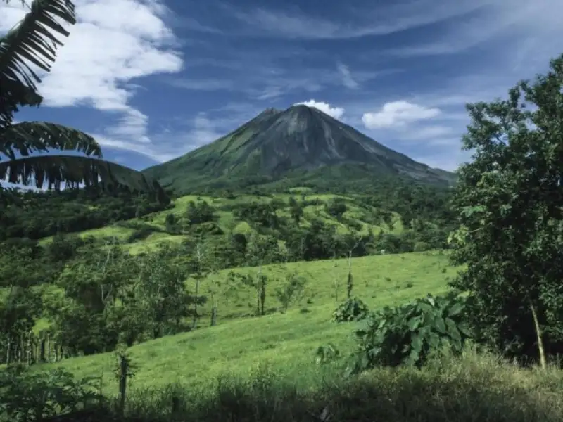 Caño Negro Wildlife Refuge Tour from Arenal