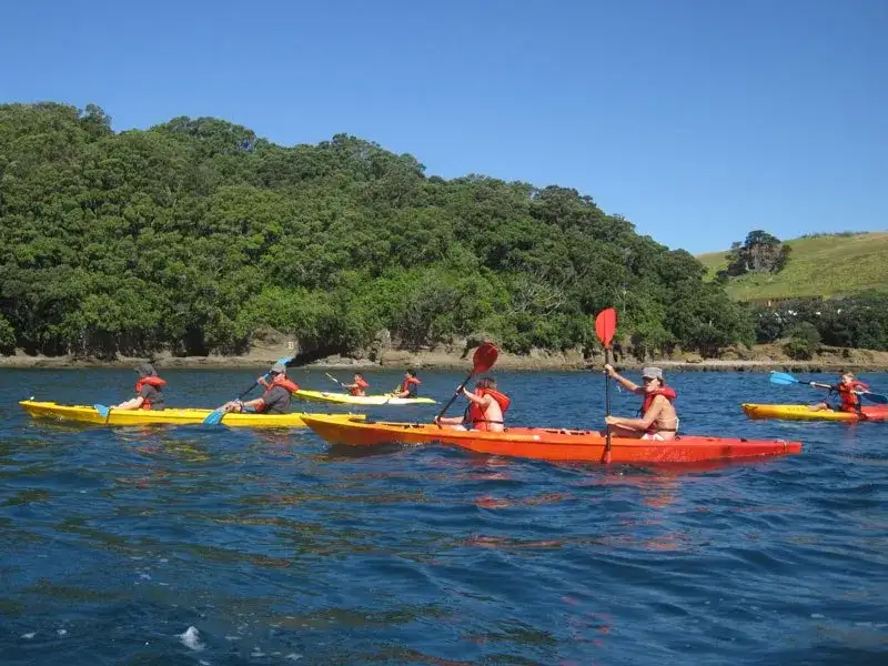 Goat Island Marine Reserve Day Tour