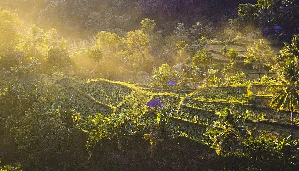 15 Day Epic Indonesia Tour Canggu to Ubud | Intro Travel