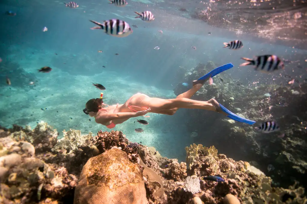 Tropical Island Explorer – 12 Days, 11 Nights, 6 Islands