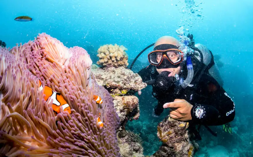 Cairns Full Day Great Barrier Reef Tour | All Inclusive
