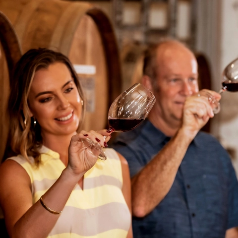 wine tasting tours in swan valley