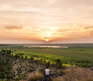 kakadu3.jpg