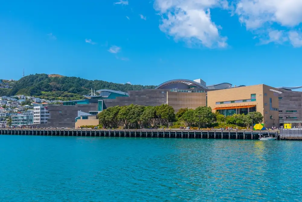 7 Day Best of the North: Auckland to Wellington | G Adventures 18 to 30somethings