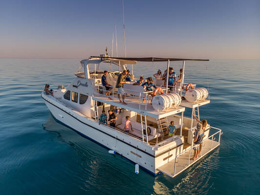half-day whale watching sunset cruise from broome