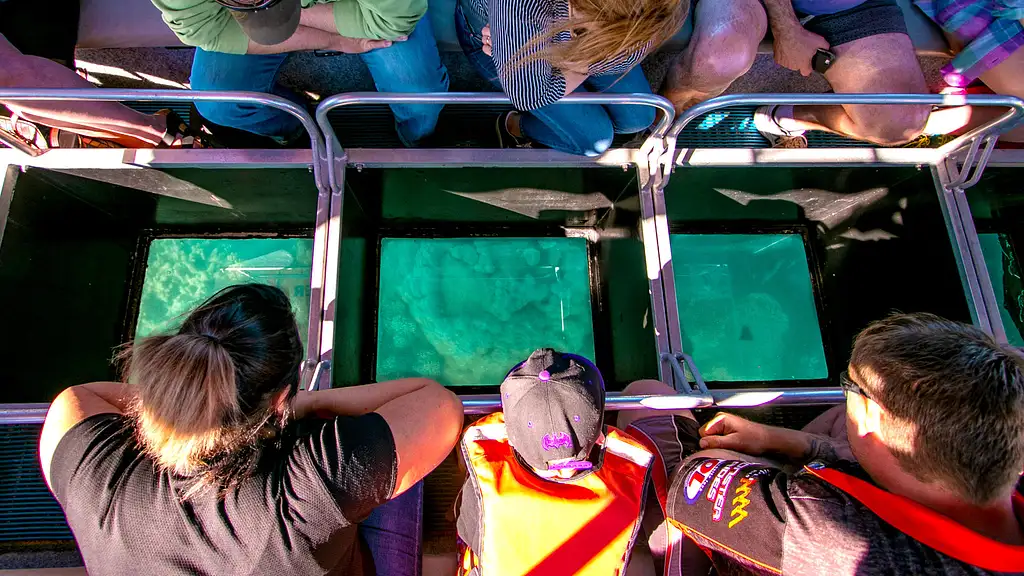 Glass Bottom Boat Tour | From Shute Harbour