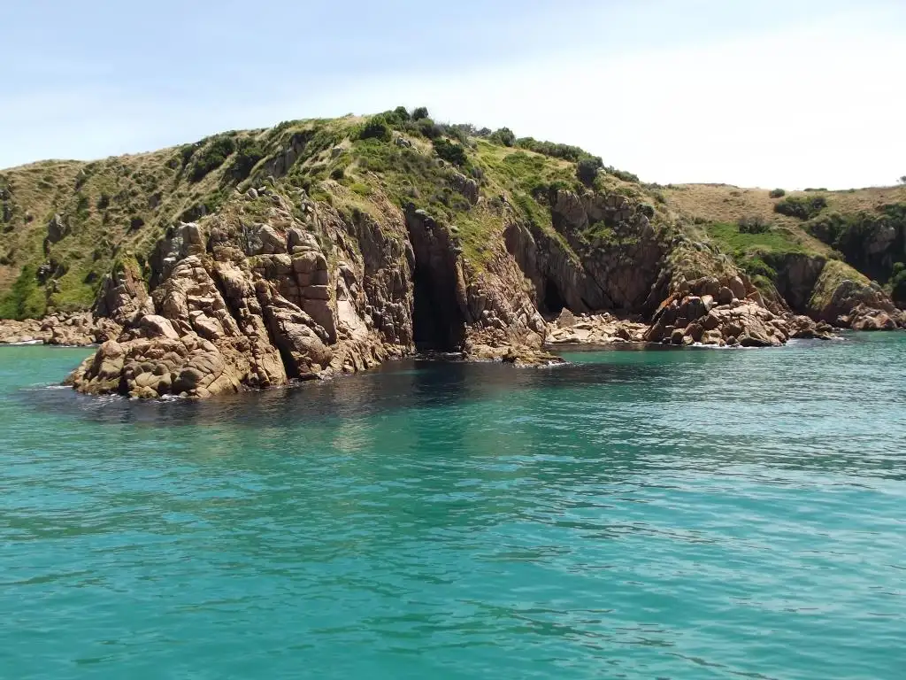 Cape Woolamai Cruise