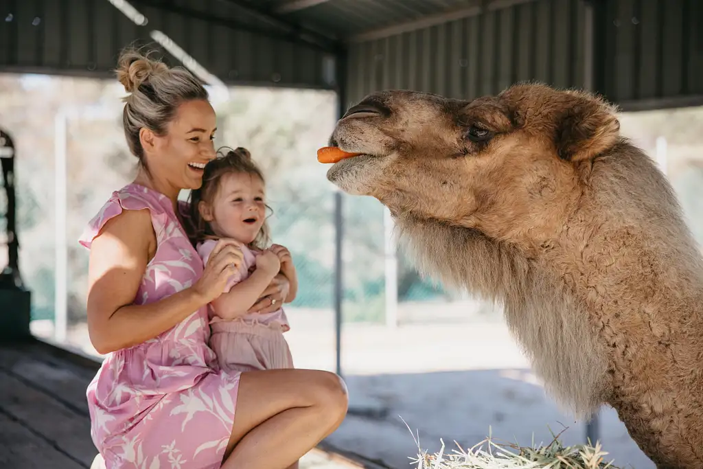 Full Day Wave Rock and Outback Tour from Perth | Lunch Included