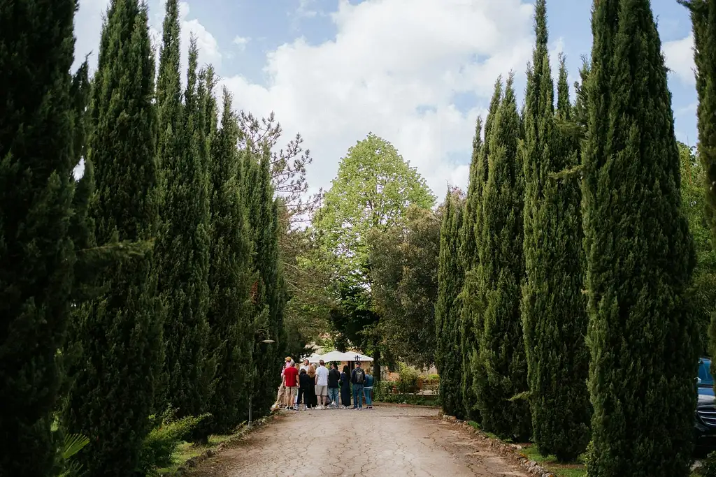 Tuscany Day Trip With Chianti, Siena And San Gimignano