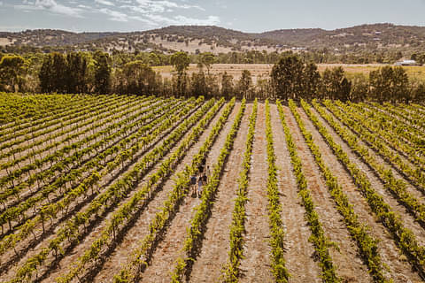 Premium Wine tours in Perth