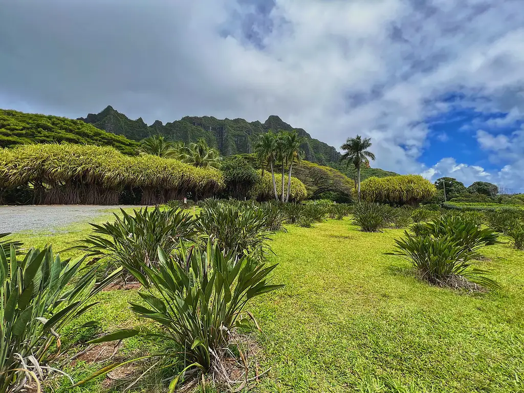 Diamond Head Hiking and Oahu Island Experience feat. North Shore
