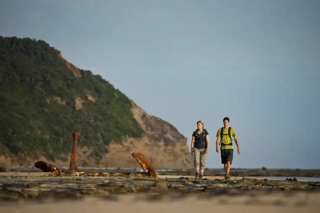 4 Day Great Ocean Walk Highlights