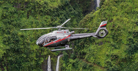 Hana Rainforest Experience