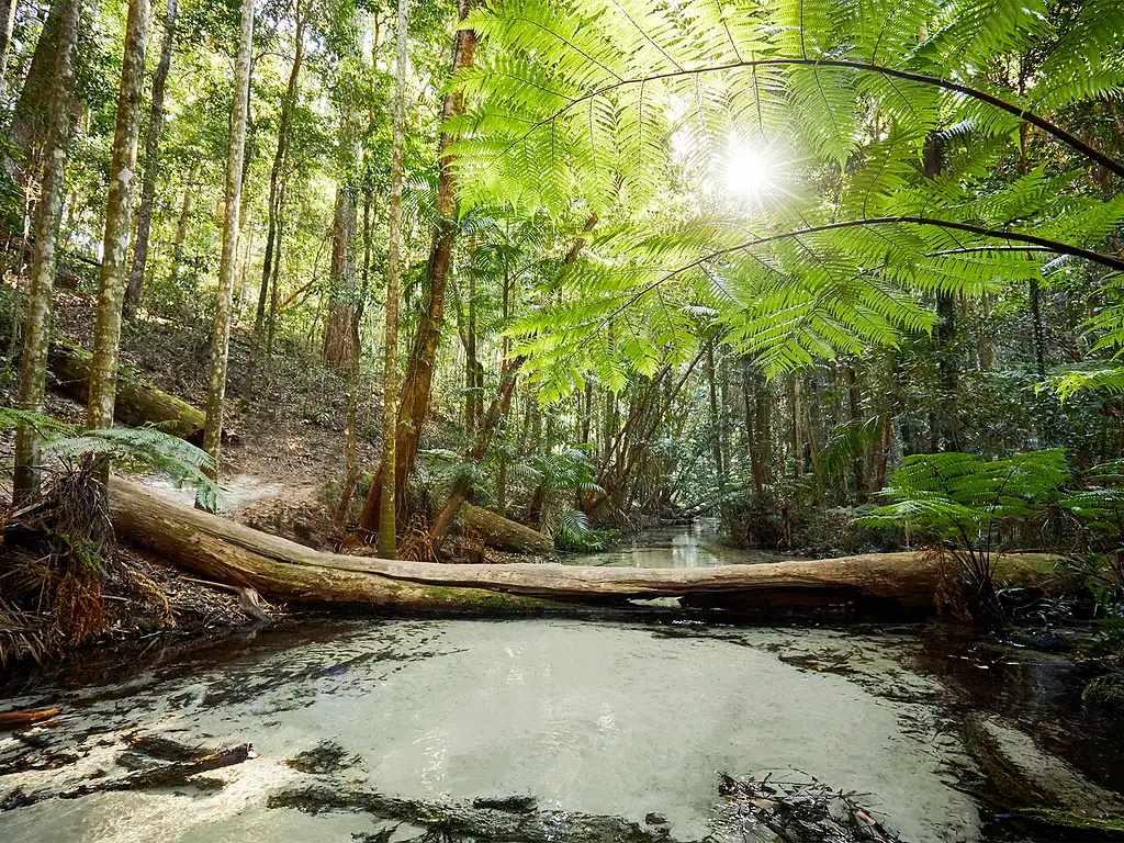 4 Day 3 Night K'gari Experience Tour + Illumina Light Show | From Hervey Bay