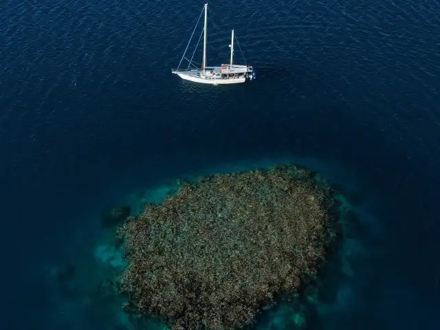 3 Day Outer Reef Cruise | on Kiana