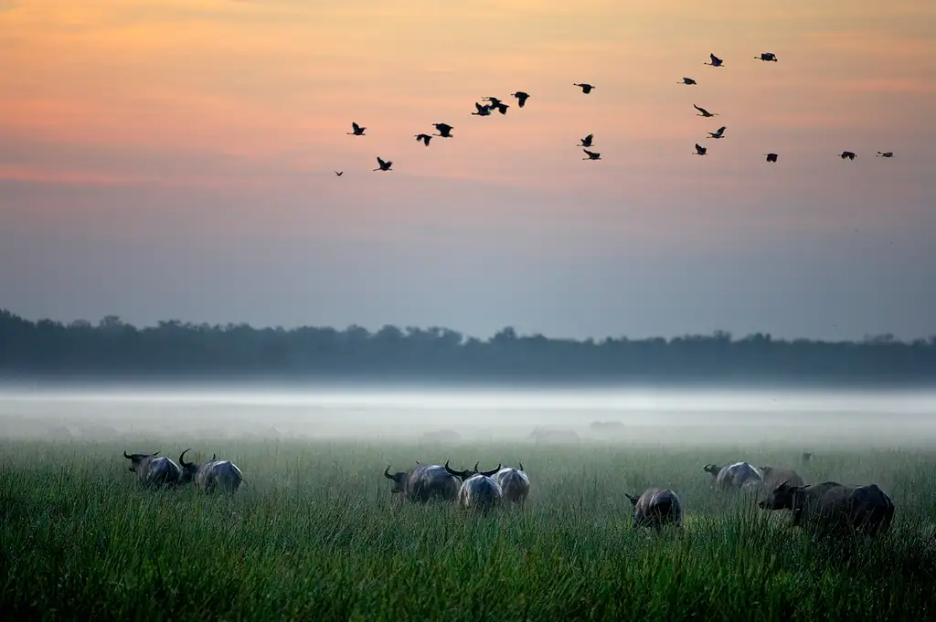 Kakadu National Park & Yellow River Wildlife Cruise