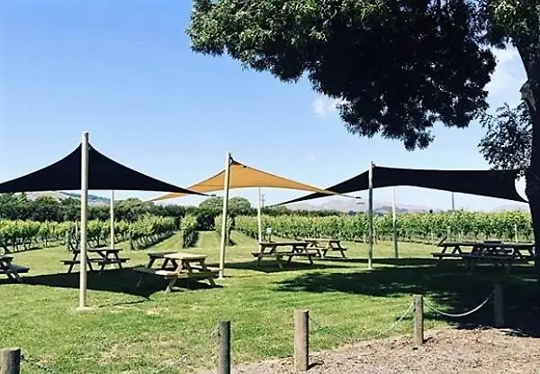 Hawkes Bay Half Day Wine Tour