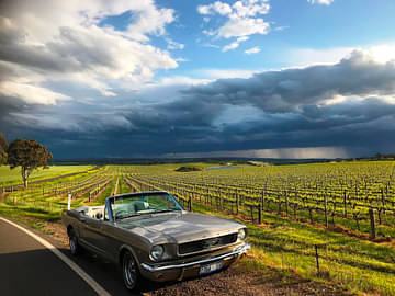 Barossa Valley Tour: Classic Car/Sports Car or Trike