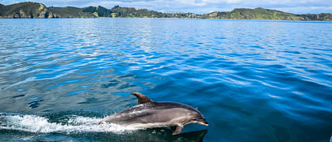 Bay of Islands