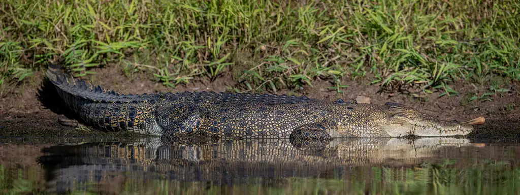 Kakadu National Park Aboriginal Culture Full Day Tour