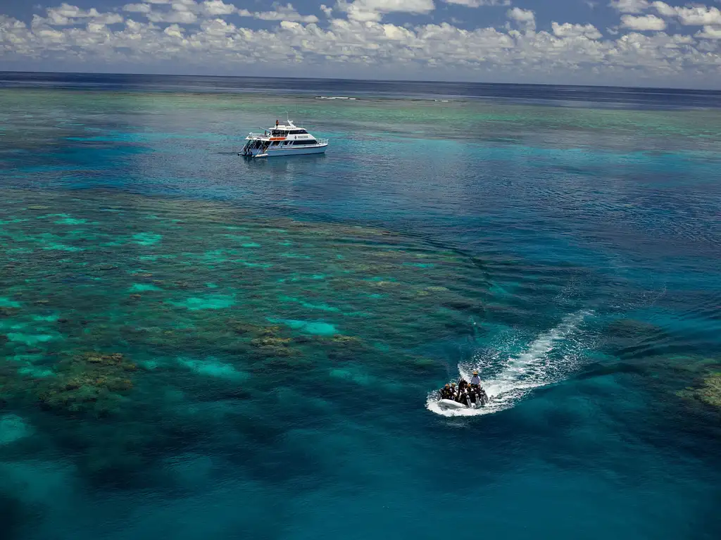 Poseidon Outer Reef Snorkel | Intro Dive | Cert Dive  - Port Douglas