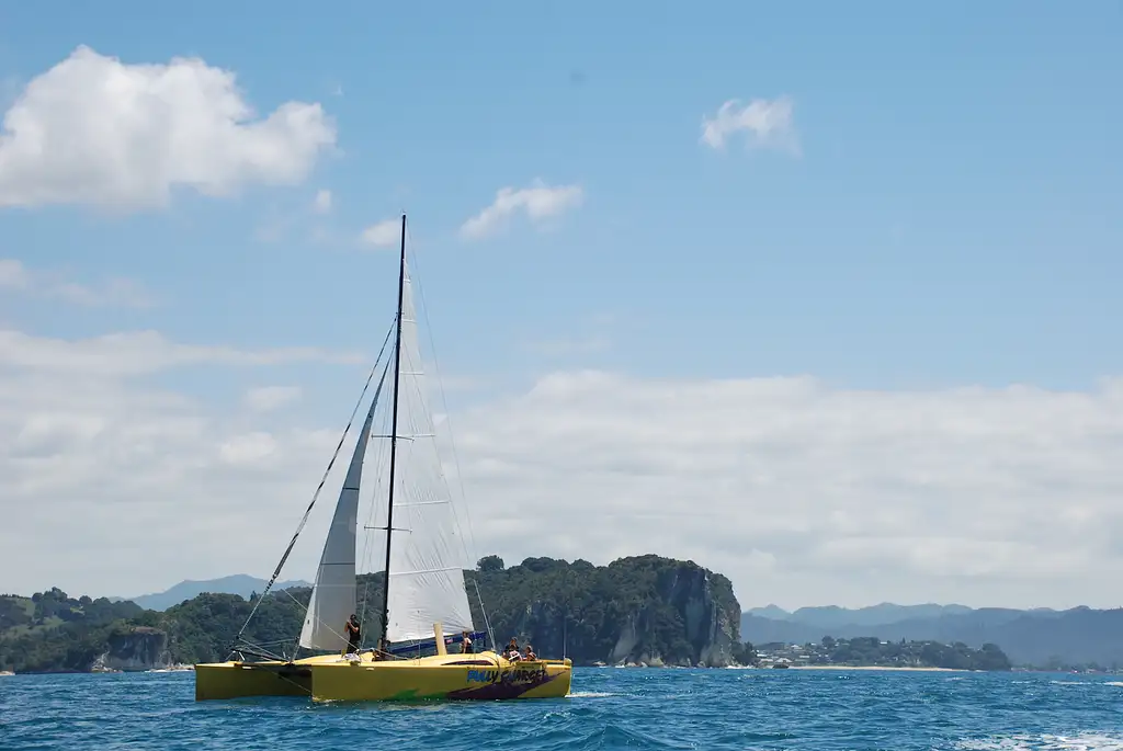 Morning Glory Chilled-out Coromandel Sail