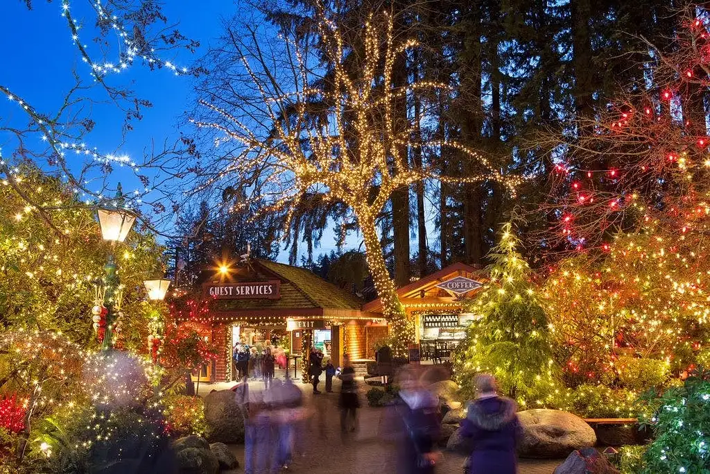 Vancouver and Capilano Canyon Lights Christmas Guided Tour