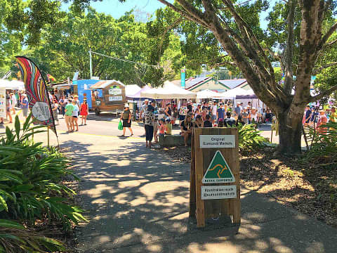 Noosa Tours